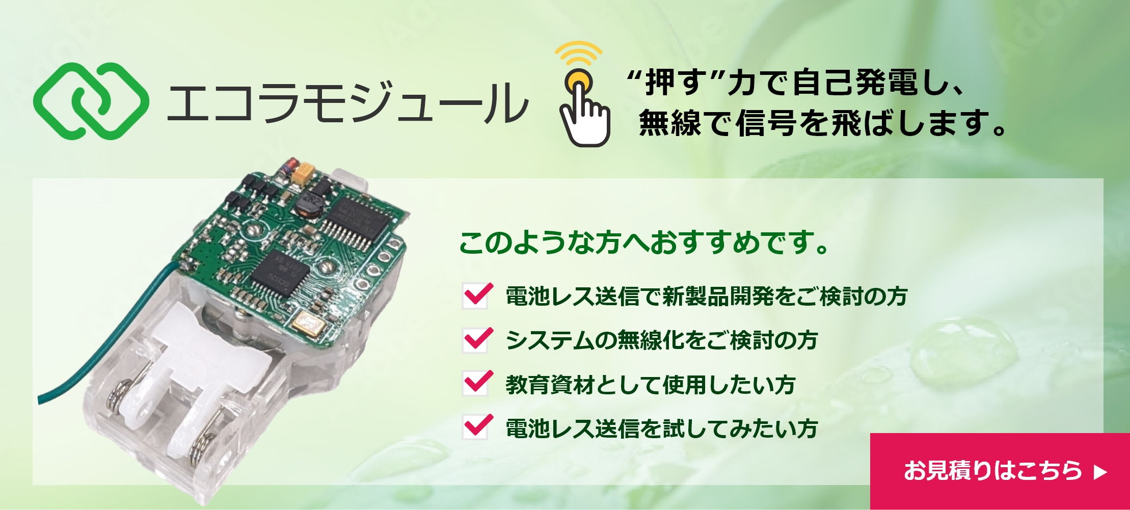 エコラモジュール